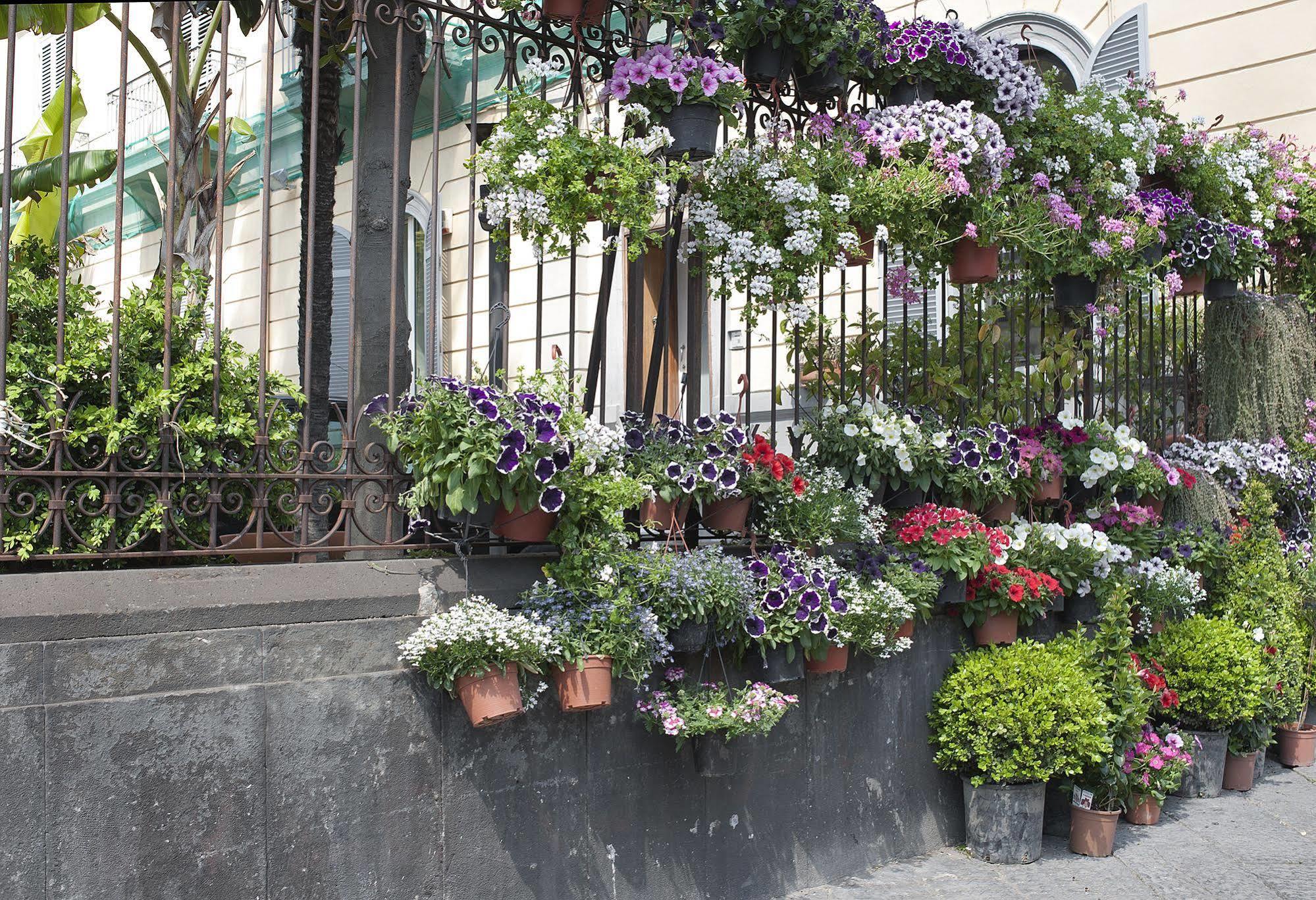 Areamare Bed & Breakfast Naples Exterior photo